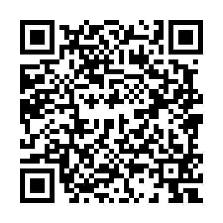 QR code for X384931