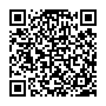 QR code for X38624