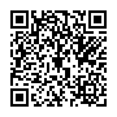 QR code for X387067