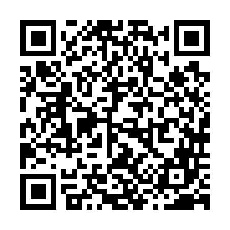 QR code for X38746