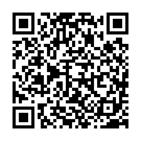 QR code for X38791