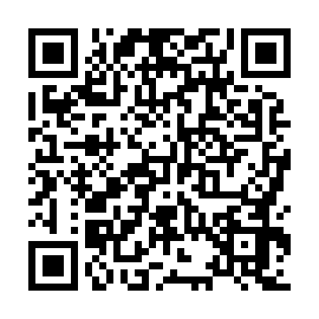 QR code for X388729