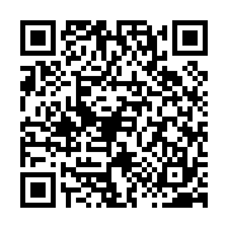 QR code for X390376