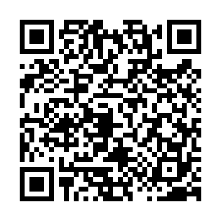 QR code for X394729