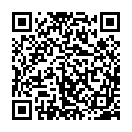 QR code for X40153