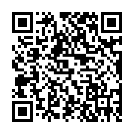 QR code for X409579