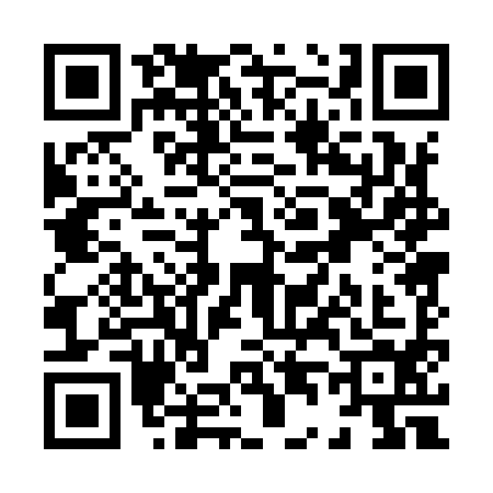 QR code for X409947