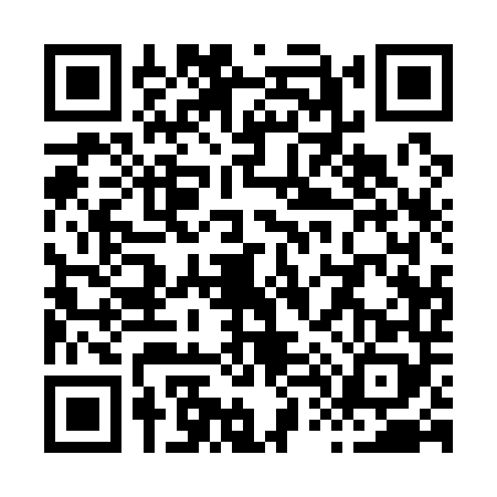 QR code for X411480