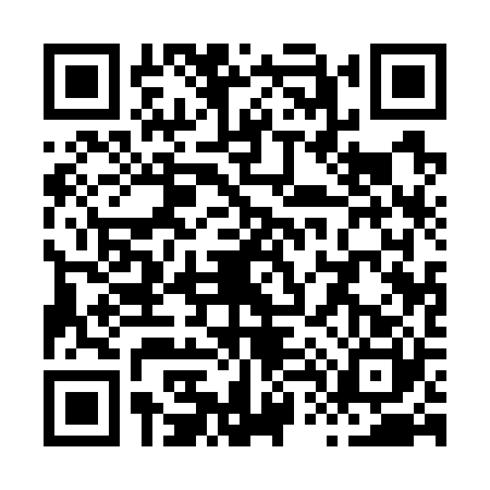 QR code for X417207