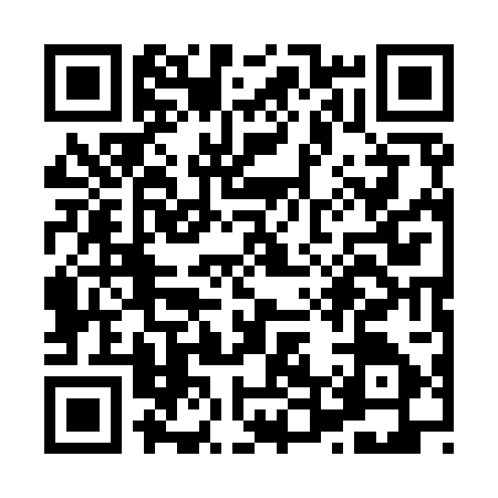 QR code for X419074
