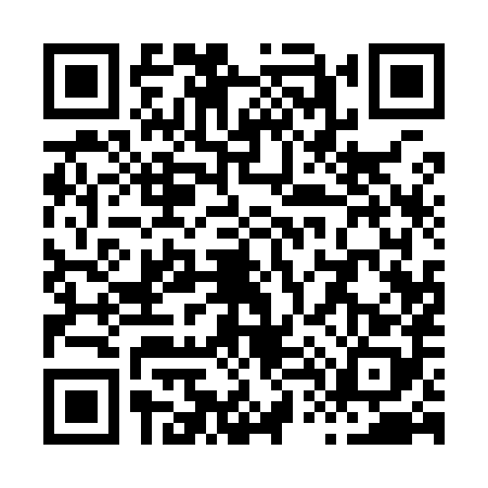 QR code for X419881