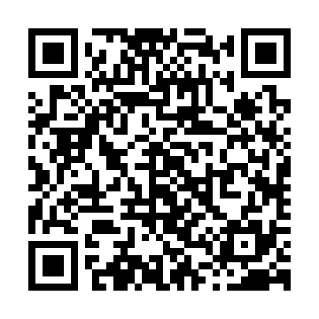 QR code for X42335