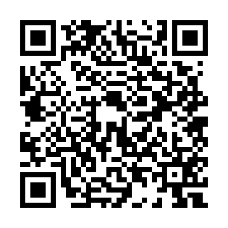 QR code for X427553