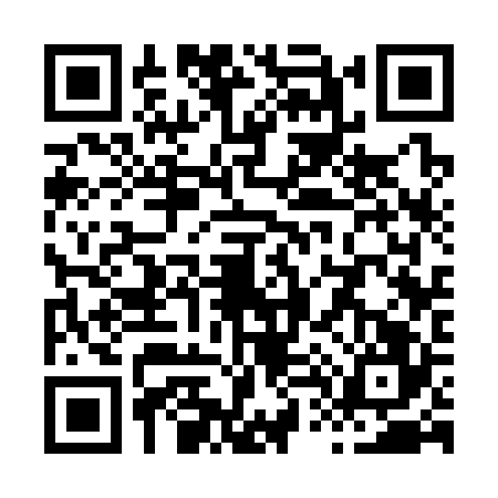 QR code for X433263