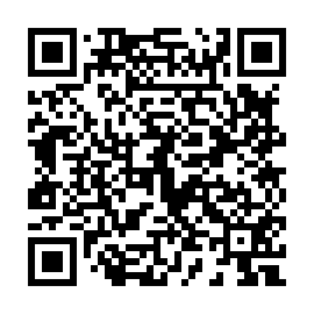 QR code for X43851
