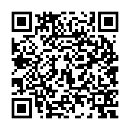 QR code for X442767