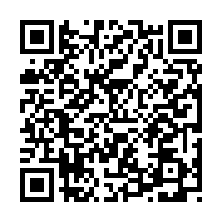 QR code for X449628