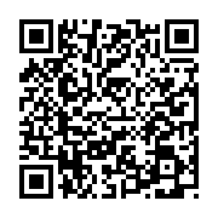 QR code for X451061