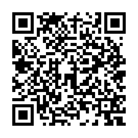 QR code for X452219