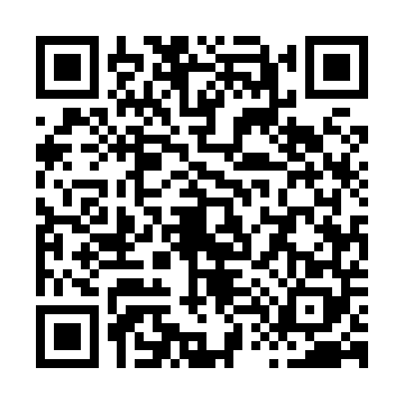 QR code for X458484