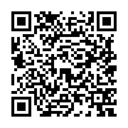 QR code for X458741