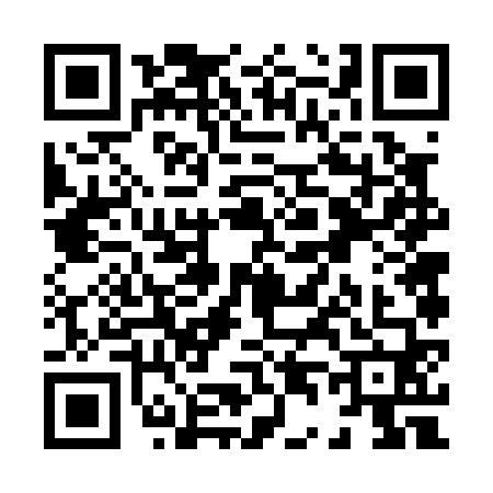 QR code for X460609