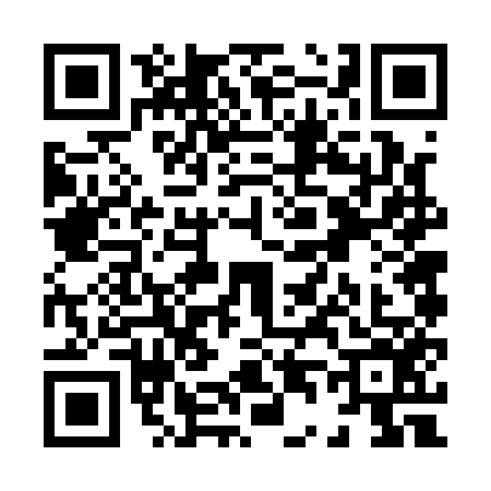 QR code for X461567