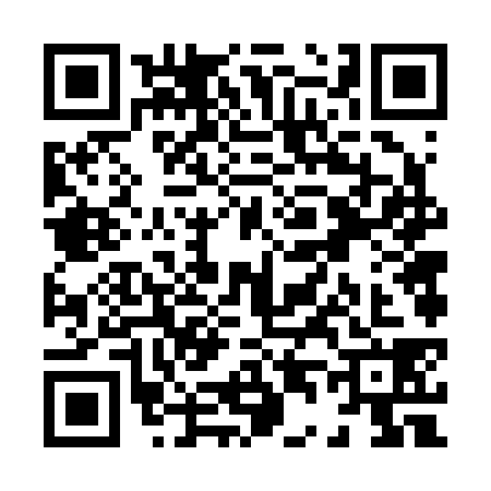 QR code for X462380