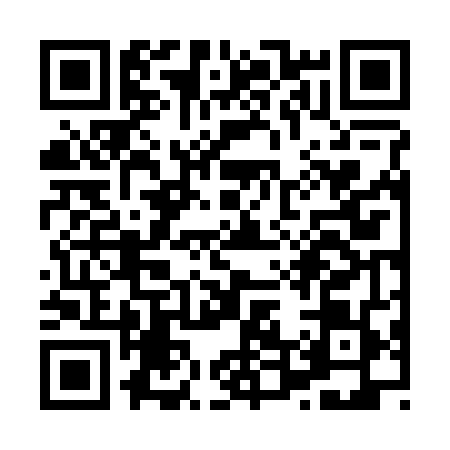 QR code for X462491