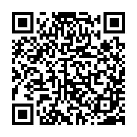 QR code for X46383