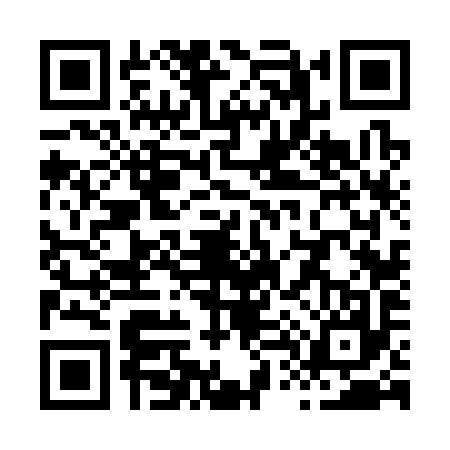 QR code for X463978