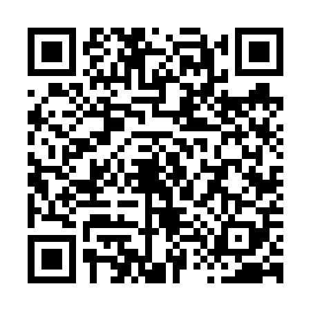 QR code for X466099