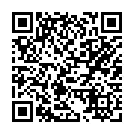 QR code for X46938