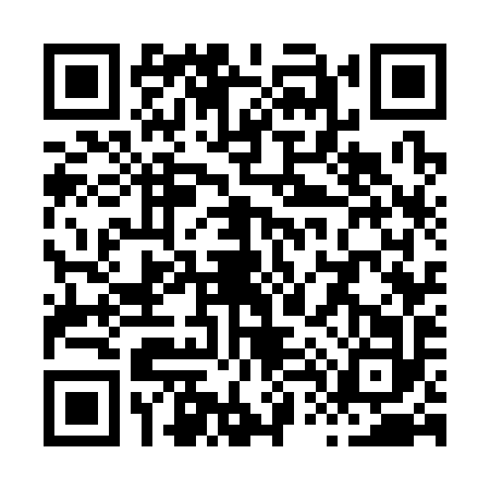 QR code for X473920
