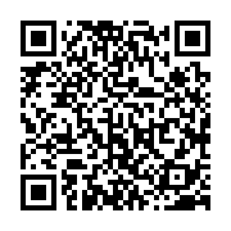 QR code for X48338