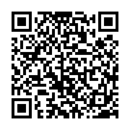 QR code for X48533