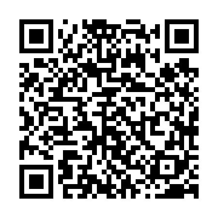 QR code for X48668