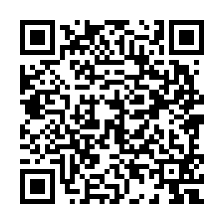 QR code for X486927