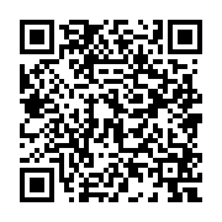 QR code for X487441