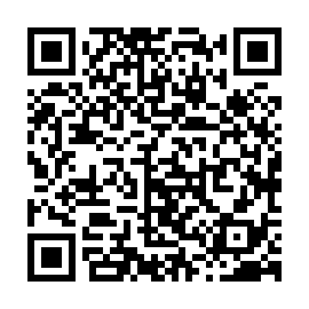 QR code for X48838