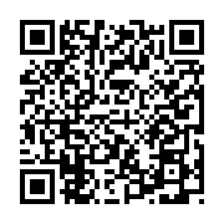 QR code for X488689