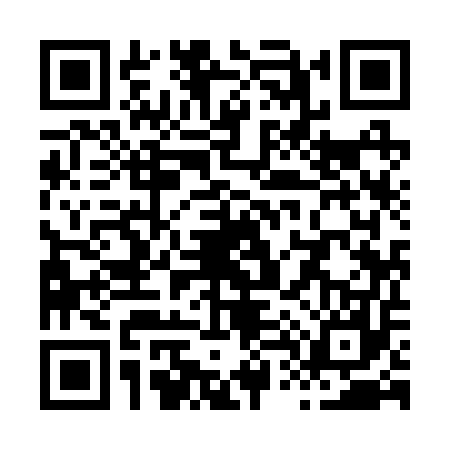 QR code for X492575