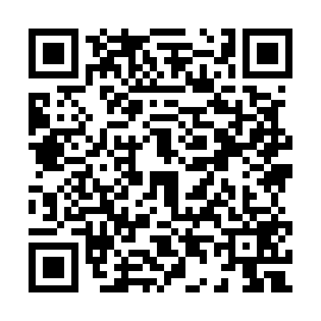 QR code for X495599