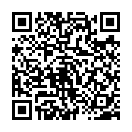 QR code for X496385
