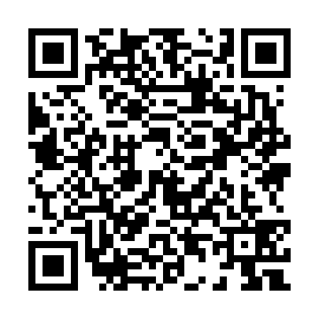 QR code for X496395