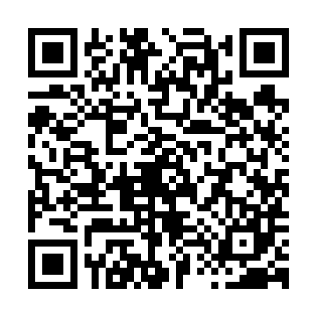QR code for X496874