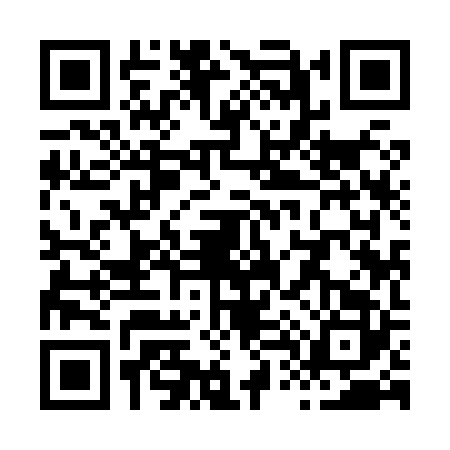 QR code for X498225