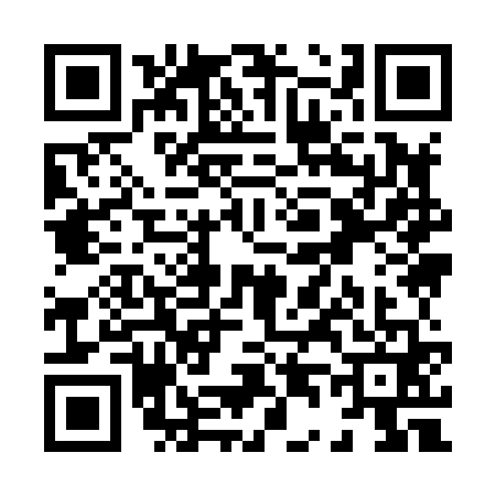 QR code for X498617