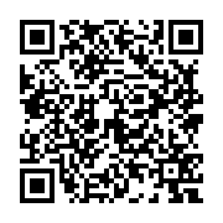 QR code for X498776