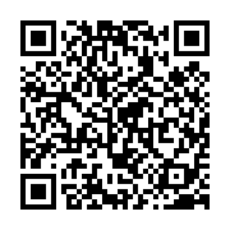 QR code for X51419